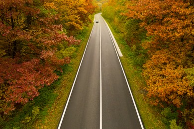 Aerial view of road going through beautiful autumn forest