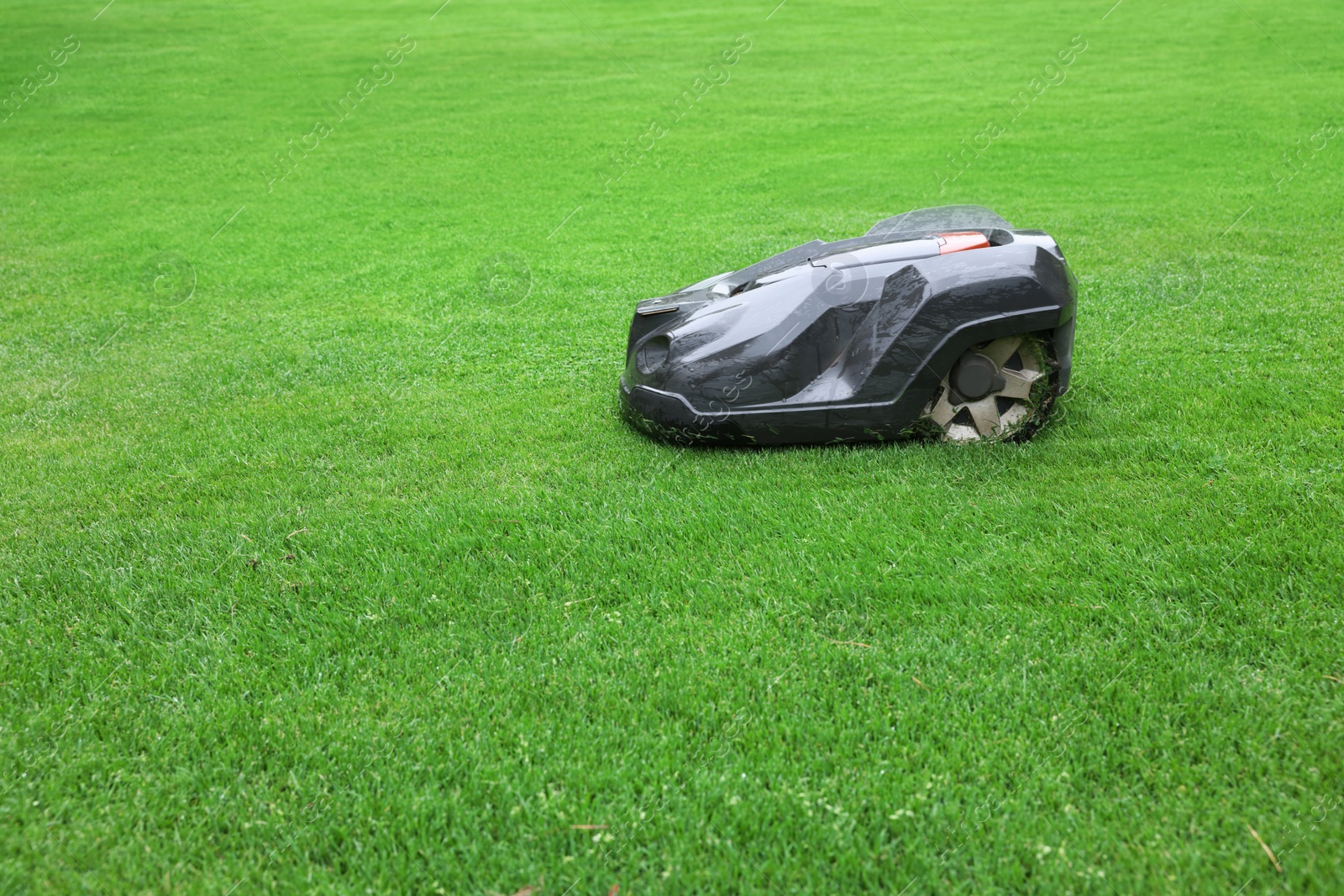 Photo of Modern lawn mower on green grass outdoors. Space for text