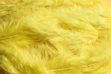 Photo of Many yellow beautiful feathers as background, closeup