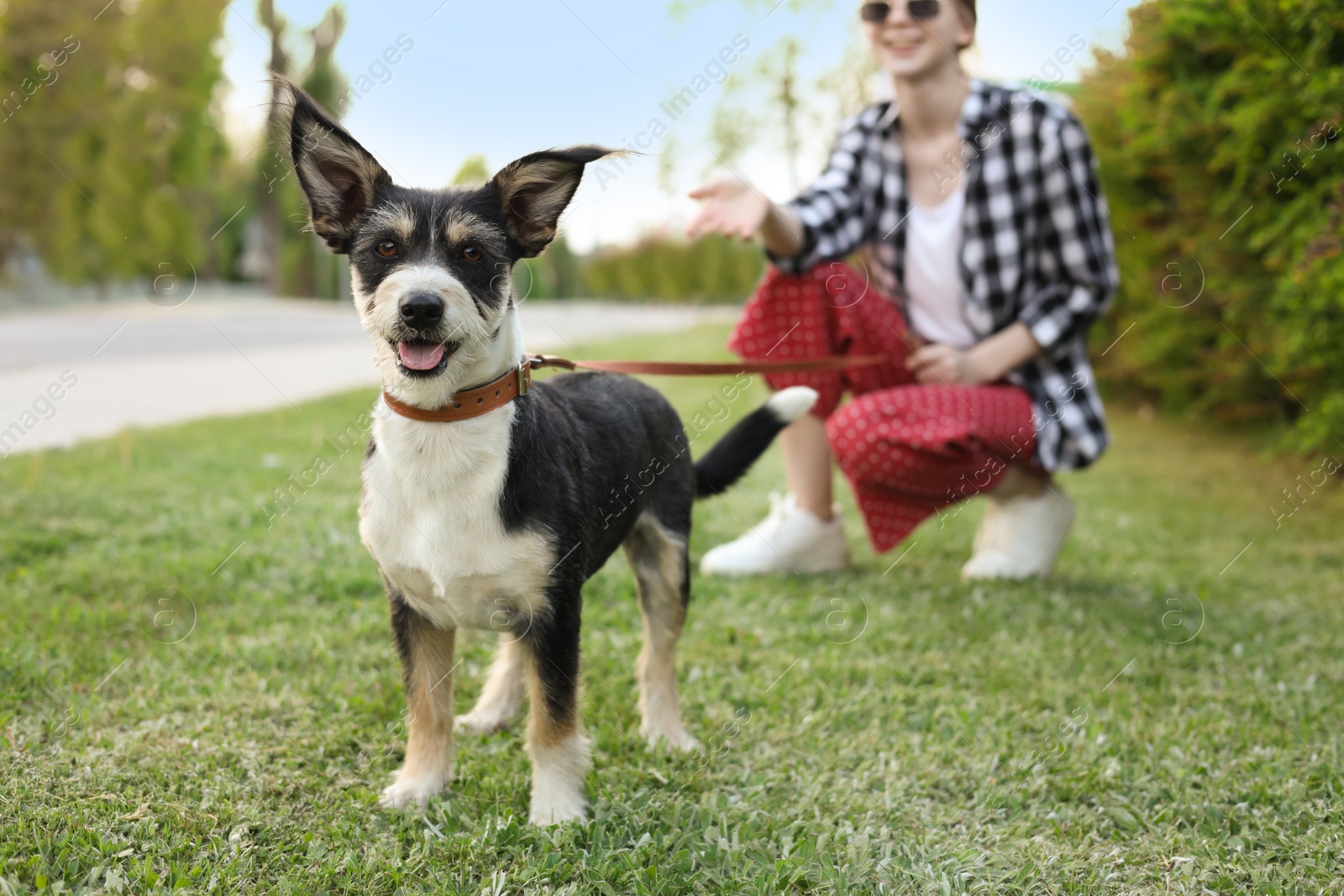 Photo of Teenage girl with her cute dog on city street