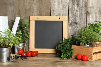 Different aromatic potted herbs, tomatoes, small chalkboard and gardening tools on wooden table. Space for text