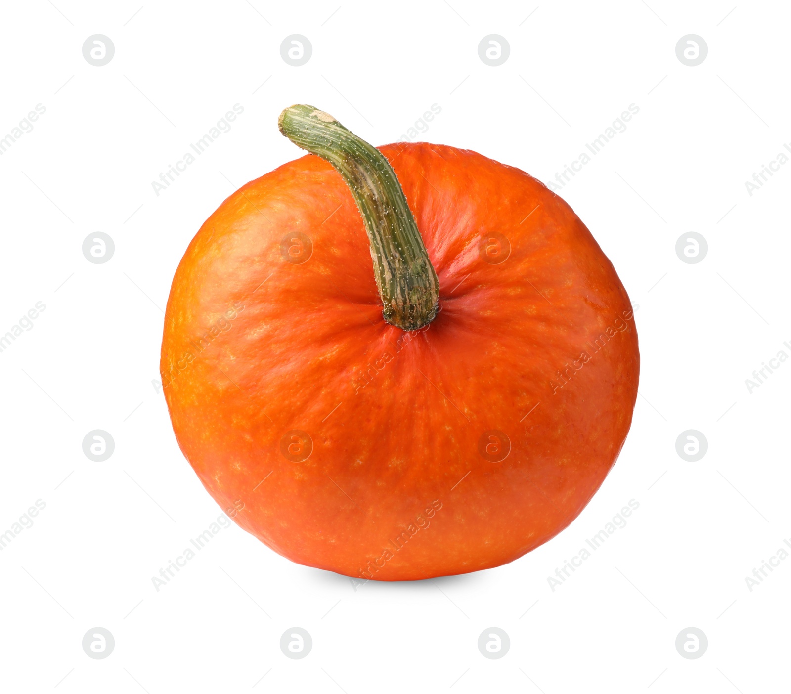 Photo of One fresh orange pumpkin isolated on white