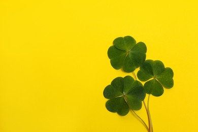 Beautiful green four leaves clover on yellow background, top view. Space for text