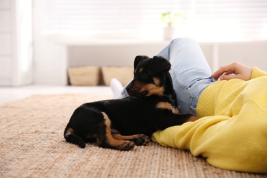 Woman with cute puppy indoors, closeup. Lovely pet