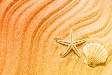 Starfish and seashell on beach sand with wave pattern, top view. Space for text