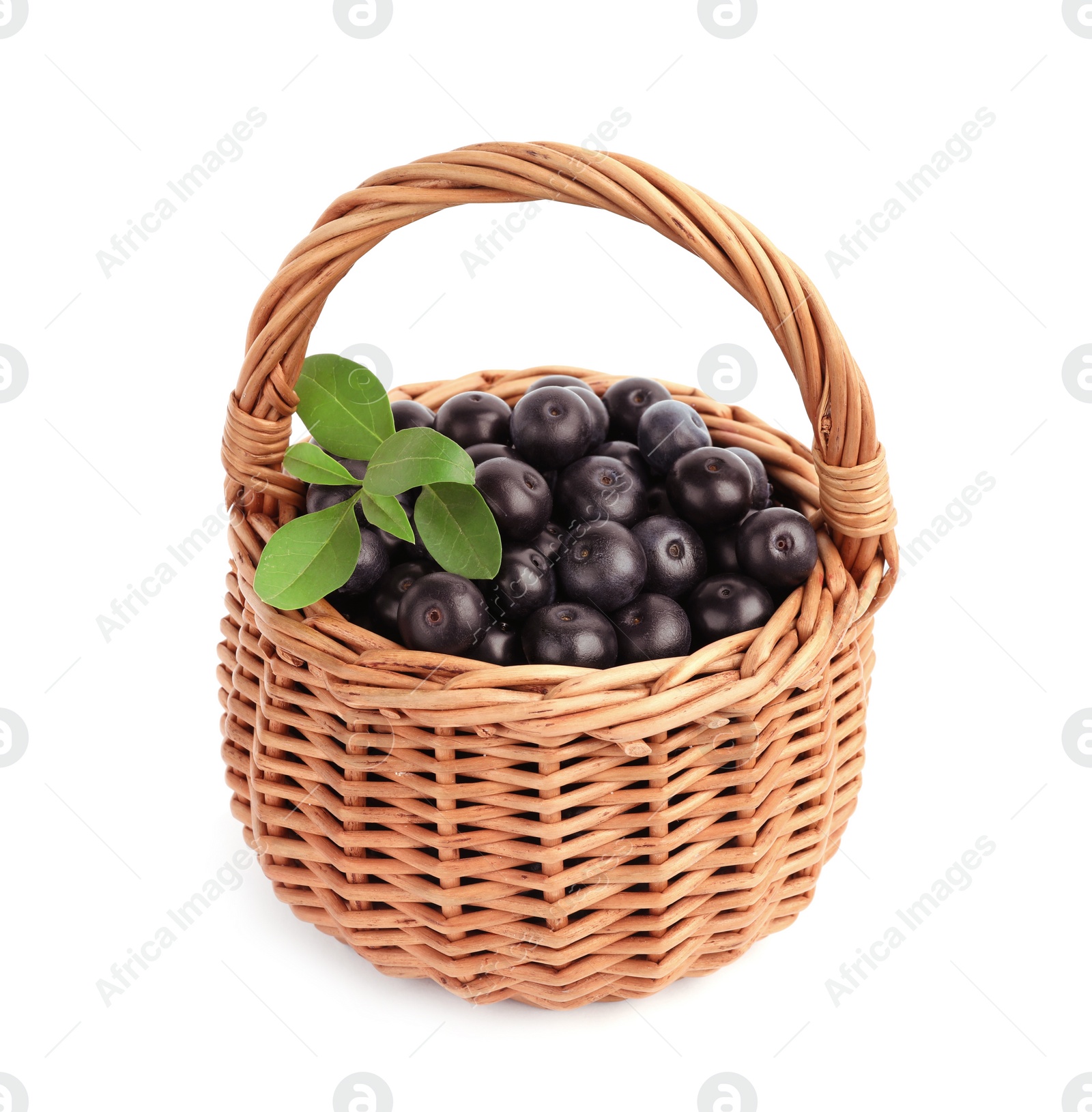 Photo of Wicker basket with fresh acai berries on white background