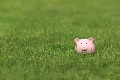 Photo of Cute piggy bank in green grass outdoors. Space for text