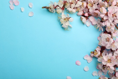 Photo of Beautiful blossoming branches with fresh spring flowers on color background, top view. Space for text