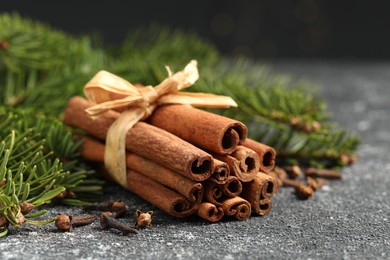 Different spices. Aromatic cinnamon sticks, clove seeds and fir branches on dark gray textured table, closeup