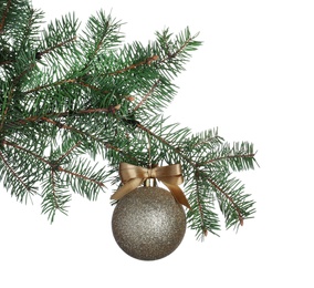 Golden shiny Christmas ball on fir tree branch against white background
