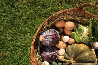 Photo of Different fresh ripe vegetables in wicker basket on grass, top view. Space for text