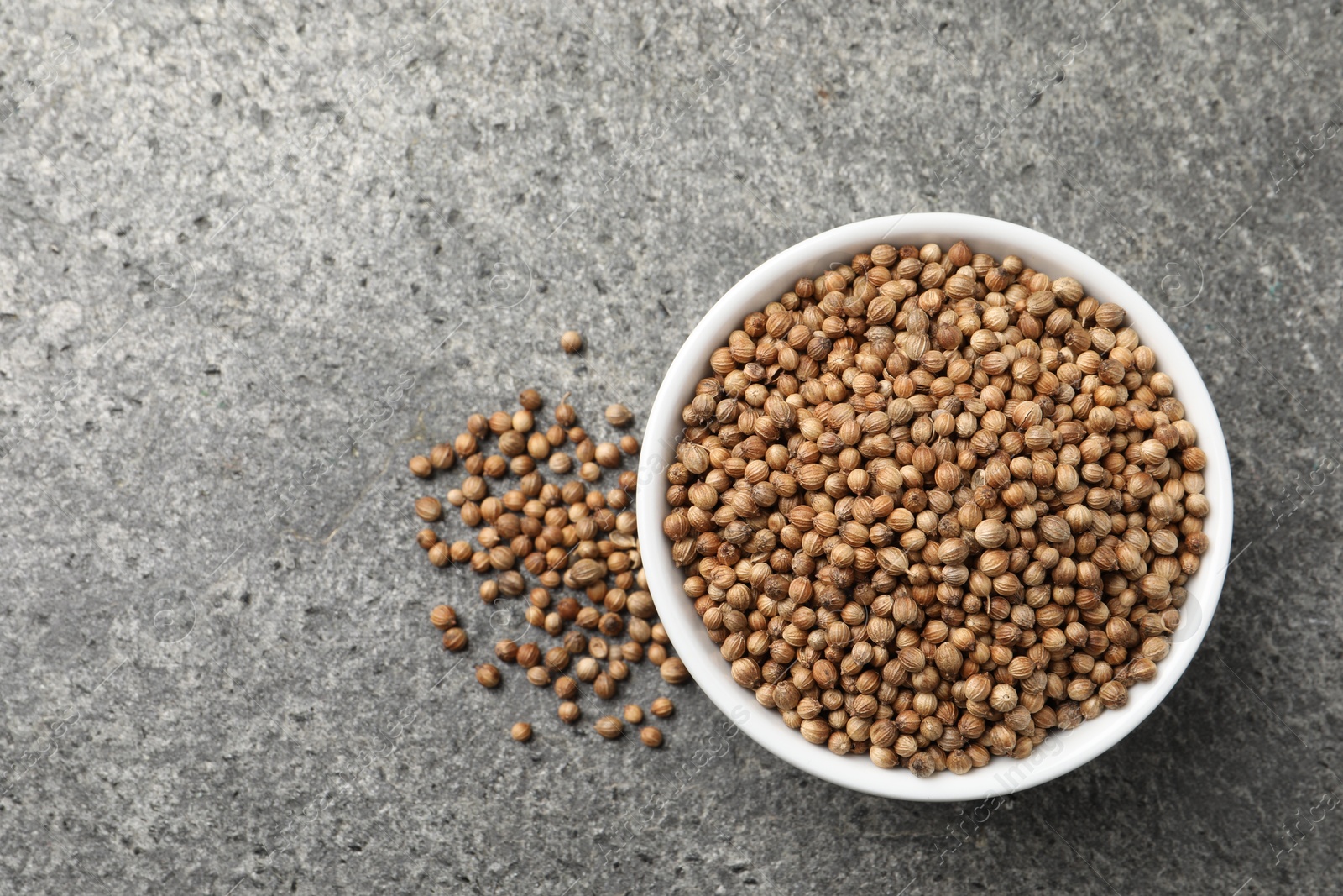 Photo of Dried coriander seeds in bowl on gray textured table, top view. Space for text