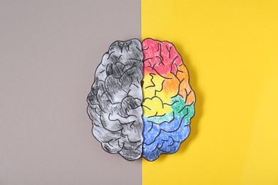 Photo of Logic and creativity. Paper brain with one colorful hemisphere and another grey on color background, top view