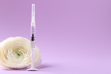 Photo of Cosmetology. Medical syringe and ranunculus flower on violet background, space for text