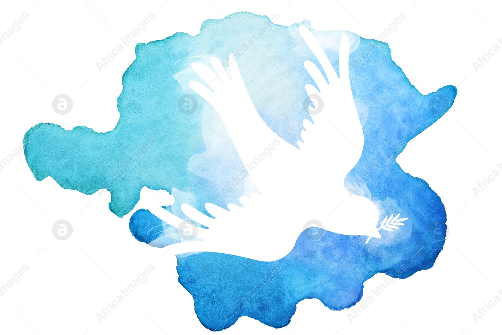 Illustration of Silhouette of dove drawn with watercolor paint on white background