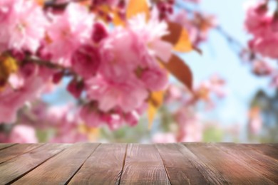 Image of Empty wooden surface and beautiful blossoming sakura tree on background