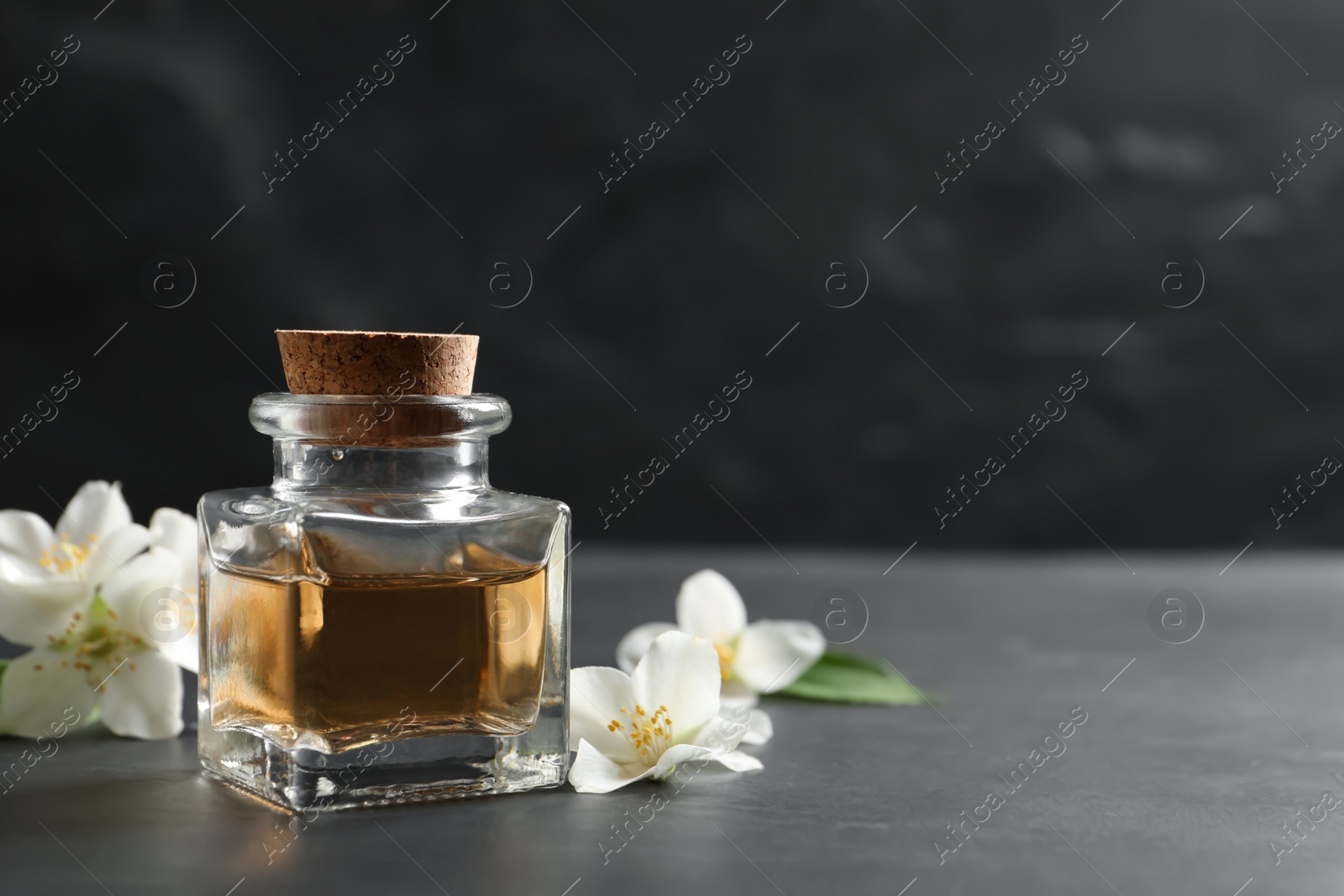 Photo of Jasmine essential oil and fresh flowers on dark grey table, space for text