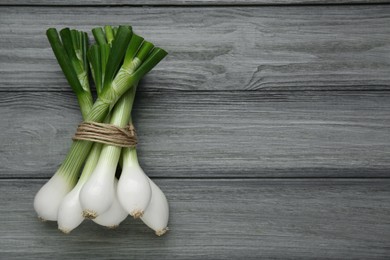 Photo of Bunch of green spring onions on grey wooden table, flat lay. Space for text