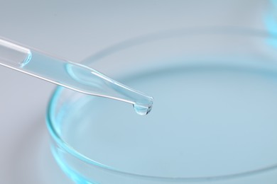 Photo of Dripping liquid from pipette into petri dish at white background, closeup. Laboratory analysis