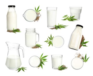 Different glassware with hemp milk on white background, collage