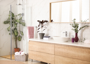 Stylish bathroom interior with countertop, shower stall and houseplants. Design idea