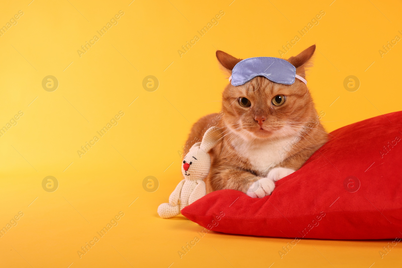 Photo of Cute ginger cat with sleep mask, crocheted bunny and red pillow on orange background, space for text