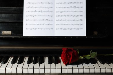 Beautiful red rose and musical notes on piano