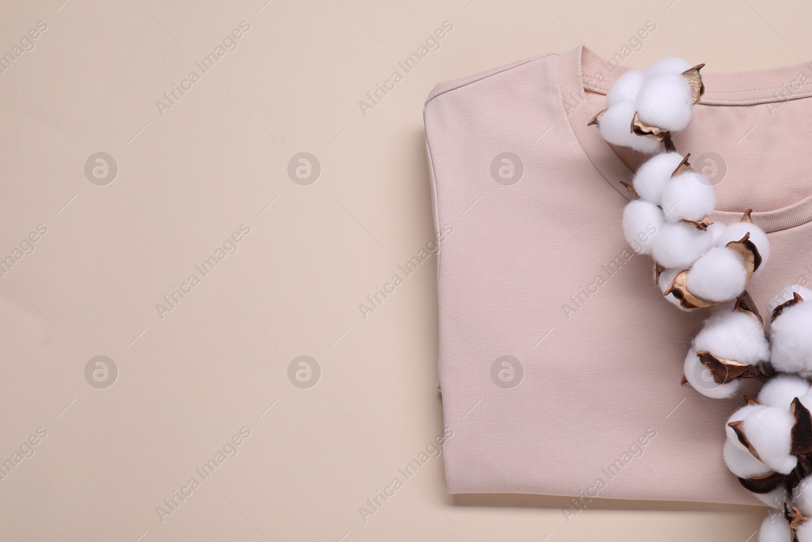 Photo of Cotton branch with fluffy flowers and t-shirt on beige background, top view. Space for text