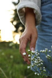 Photo of Woman walking through meadow and touching beautiful white flowers outdoors, closeup