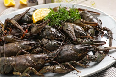 Photo of Fresh raw crayfishes with lemon and dill on plate, closeup