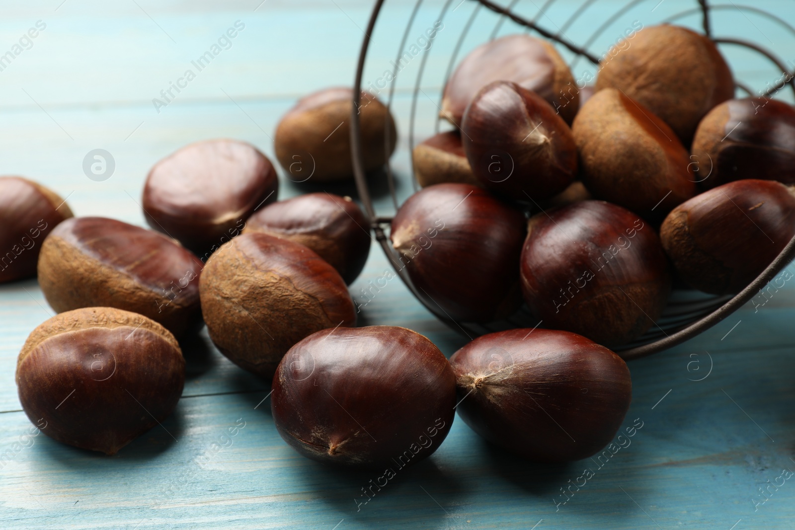 Photo of Metal basket with roasted edible sweet chestnuts on light blue wooden table, closeup