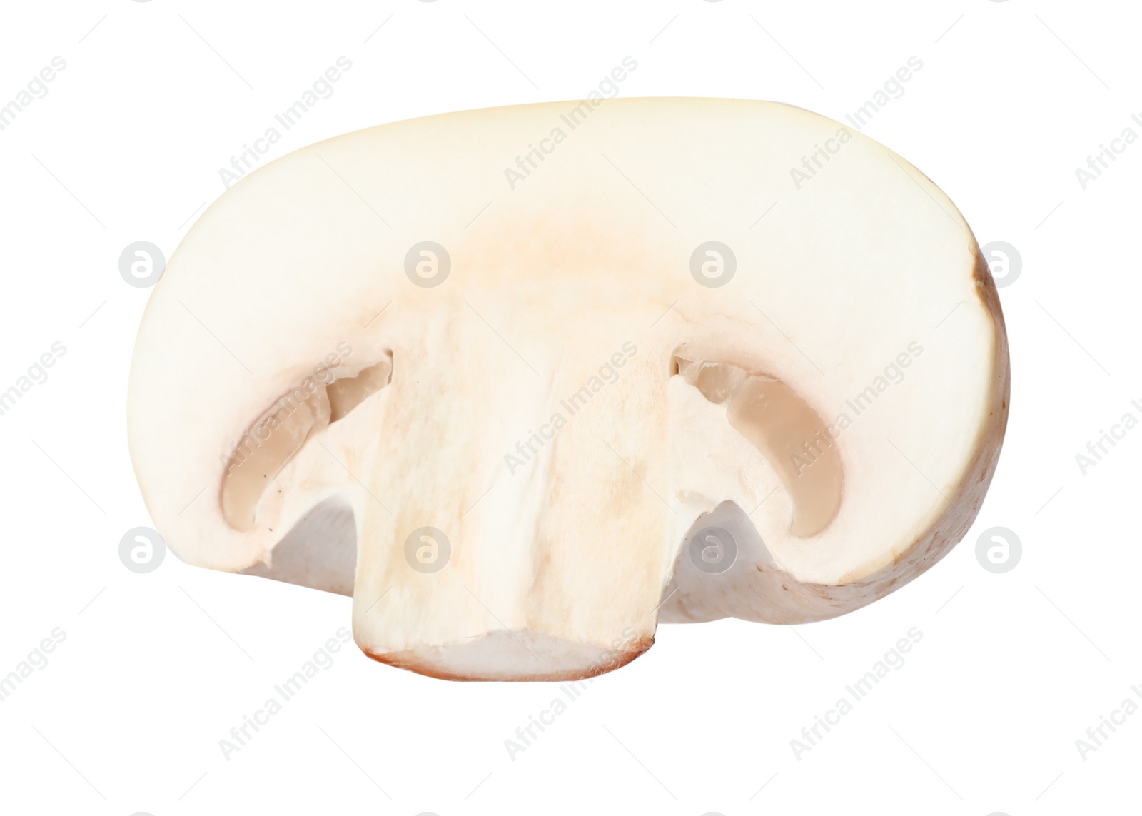 Photo of Piece of fresh mushroom on white background