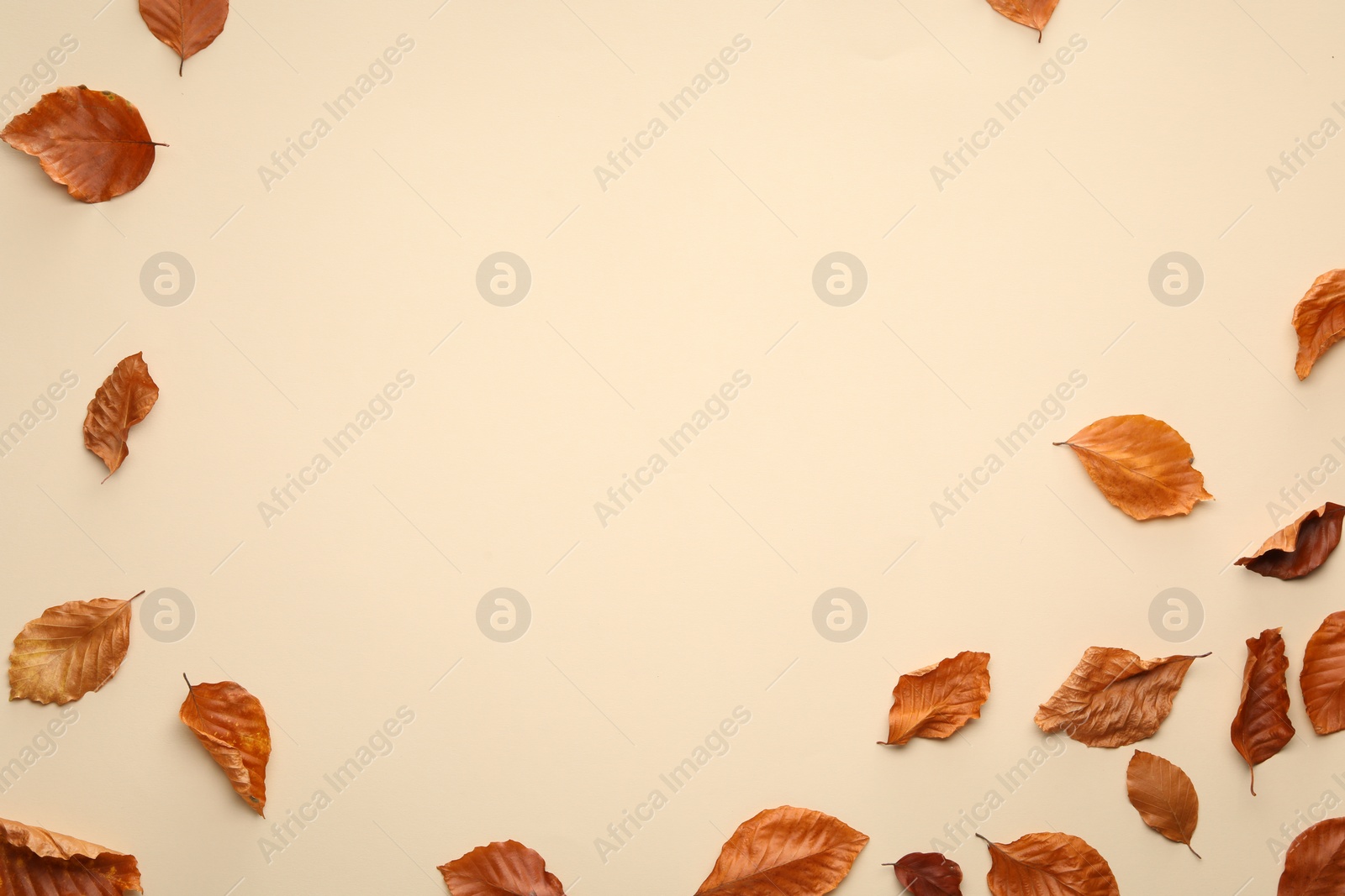 Photo of Dry autumn leaves on beige background, flat lay. Space for text