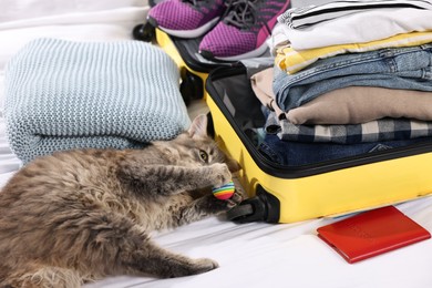 Travel with pet. Cat, ball, passport, clothes and suitcase on bed