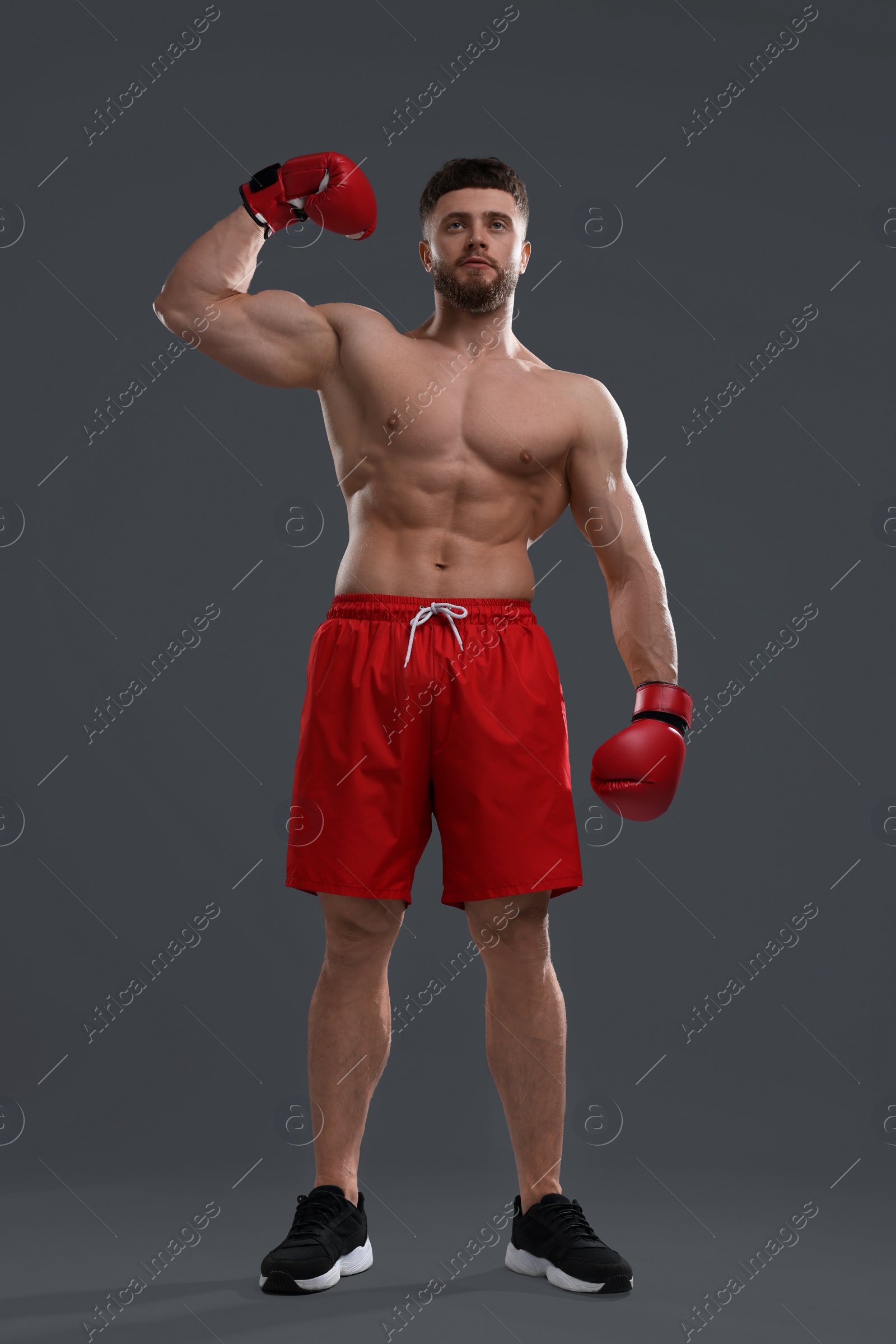 Photo of Man in boxing gloves showing muscles on grey background, low angle view