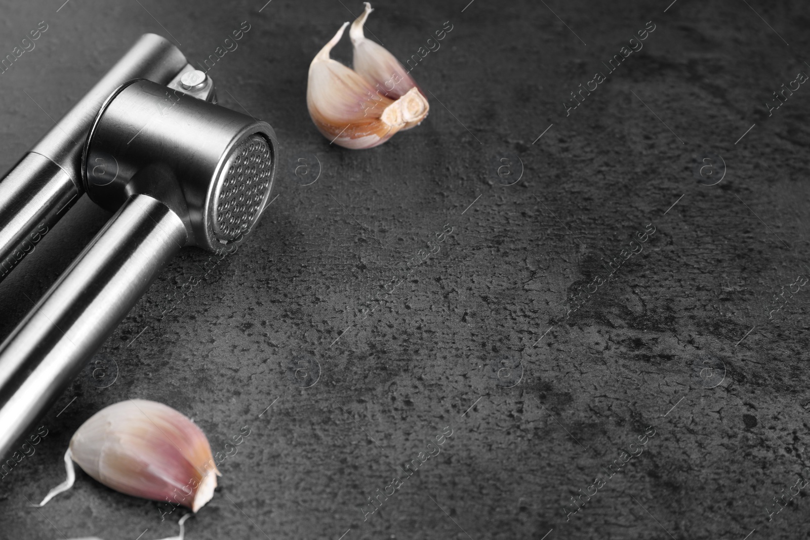 Photo of Garlic press and cloves on grey table, closeup. Space for text
