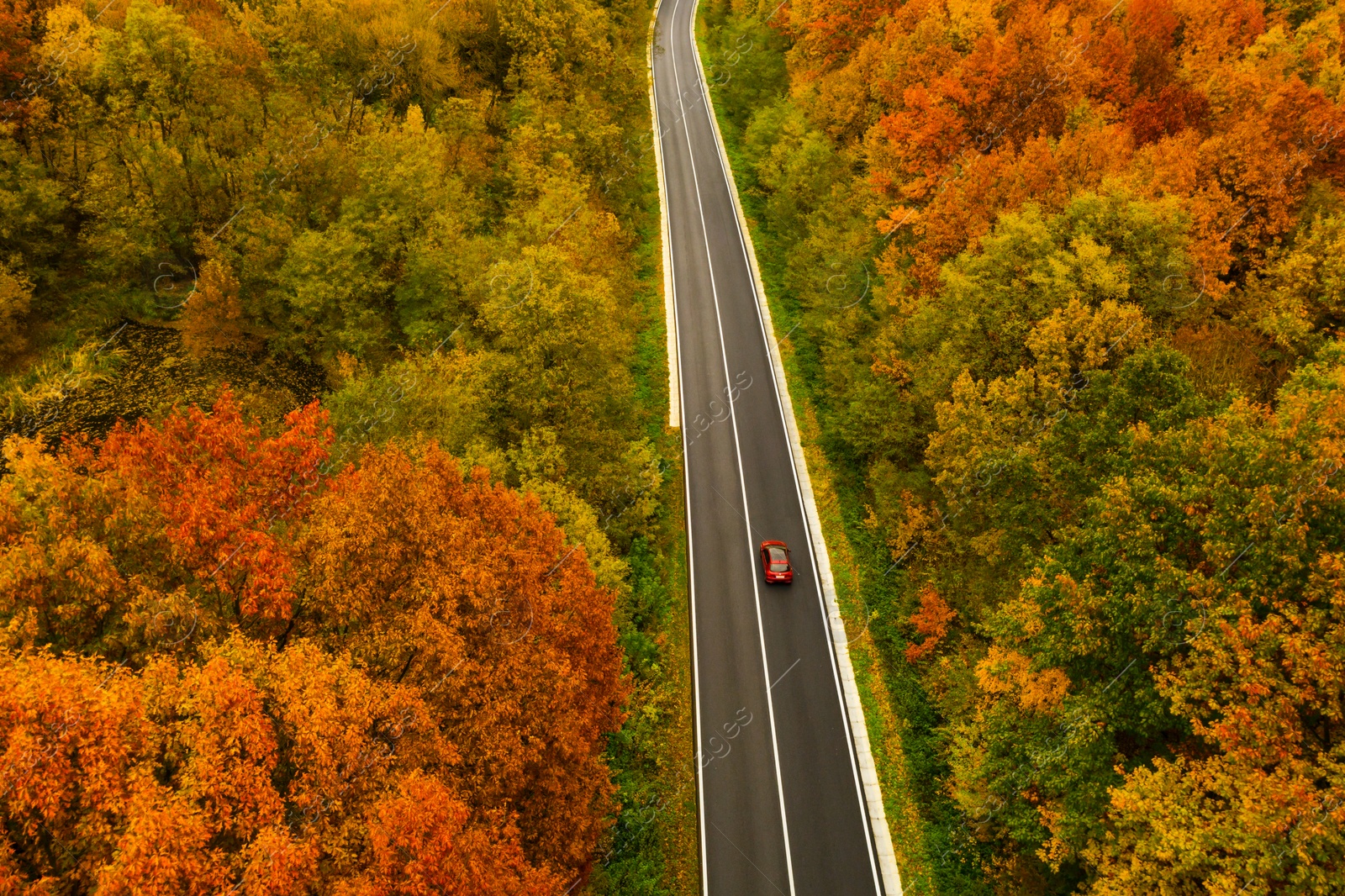 Image of Aerial view of road going through beautiful autumn forest