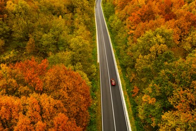 Image of Aerial view of road going through beautiful autumn forest