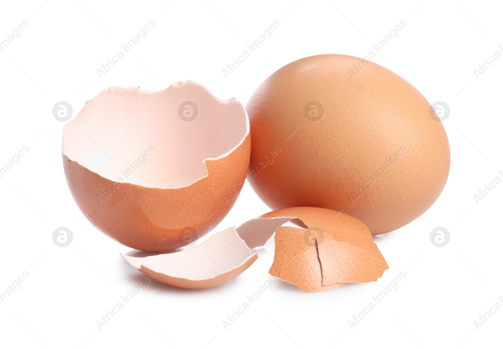 Photo of Chicken egg and pieces of shell isolated on white