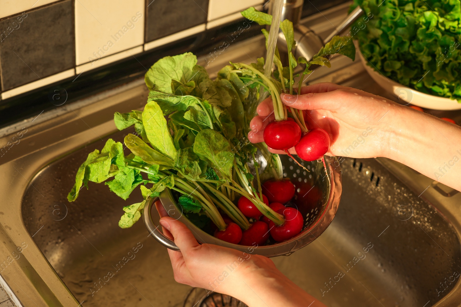 Photo of Woman washing fresh radishes in metal colander, closeup