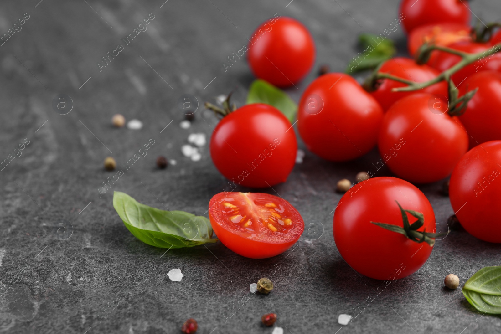 Photo of Ripe tomatoes, basil and spices on gray textured table, closeup. Space for text