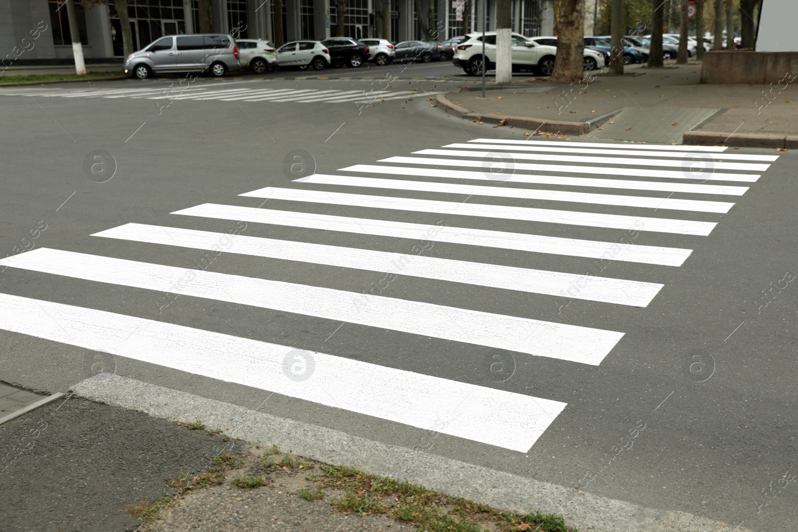 Photo of Pedestrian crossing on empty city street in autumn