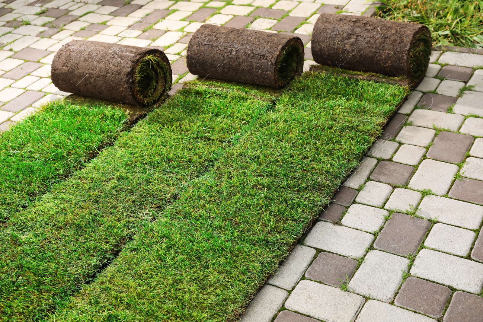 Photo of Many grass sods on pavement in backyard