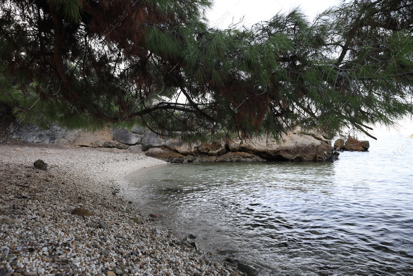 Photo of Beautiful clear sea and pebbles on beach