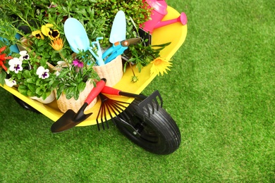 Wheelbarrow with flowers and gardening tools on grass, above view. Space for text