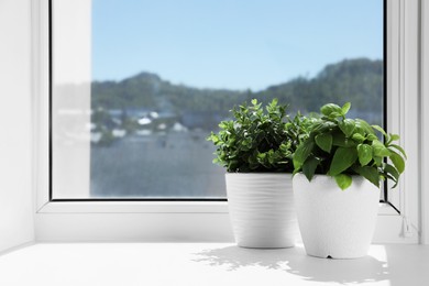 Photo of Artificial potted herbs on sunny day on windowsill indoors, space for text. Home decor