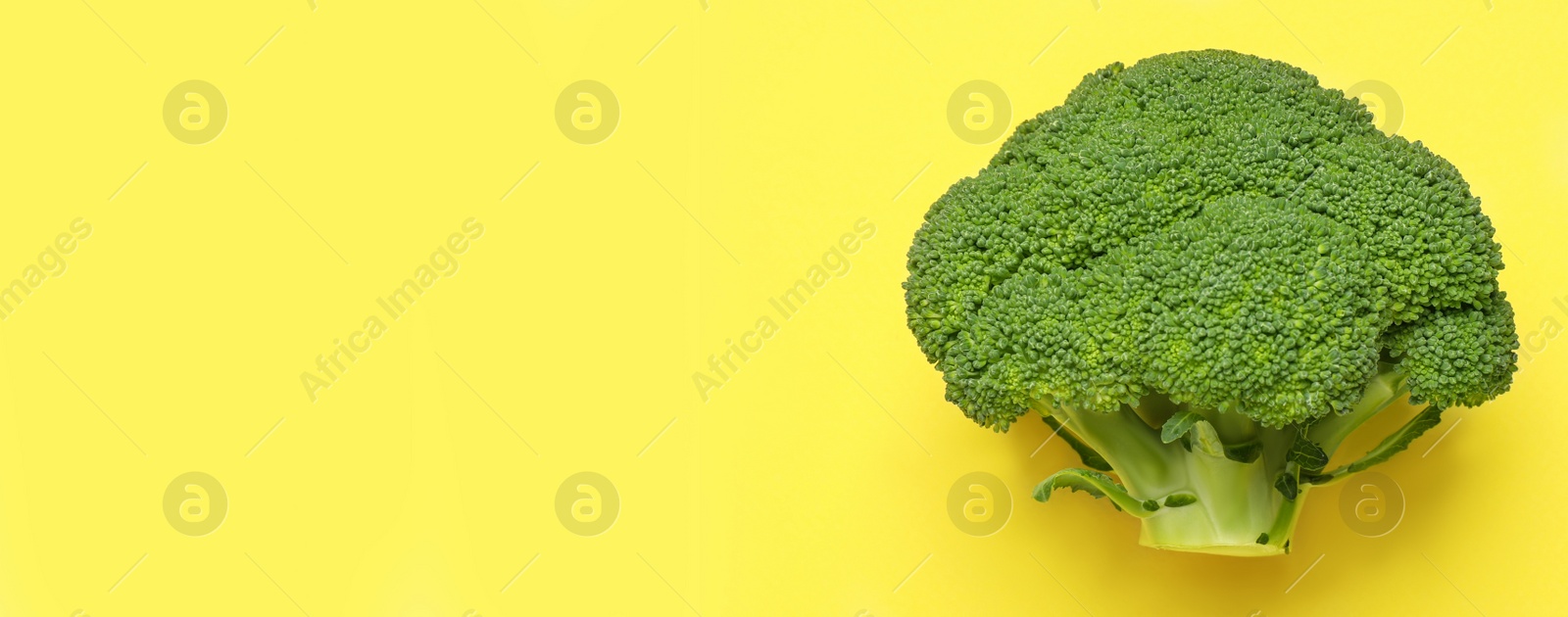 Image of Top view of fresh green broccoli on yellow background, space for text. Banner design 