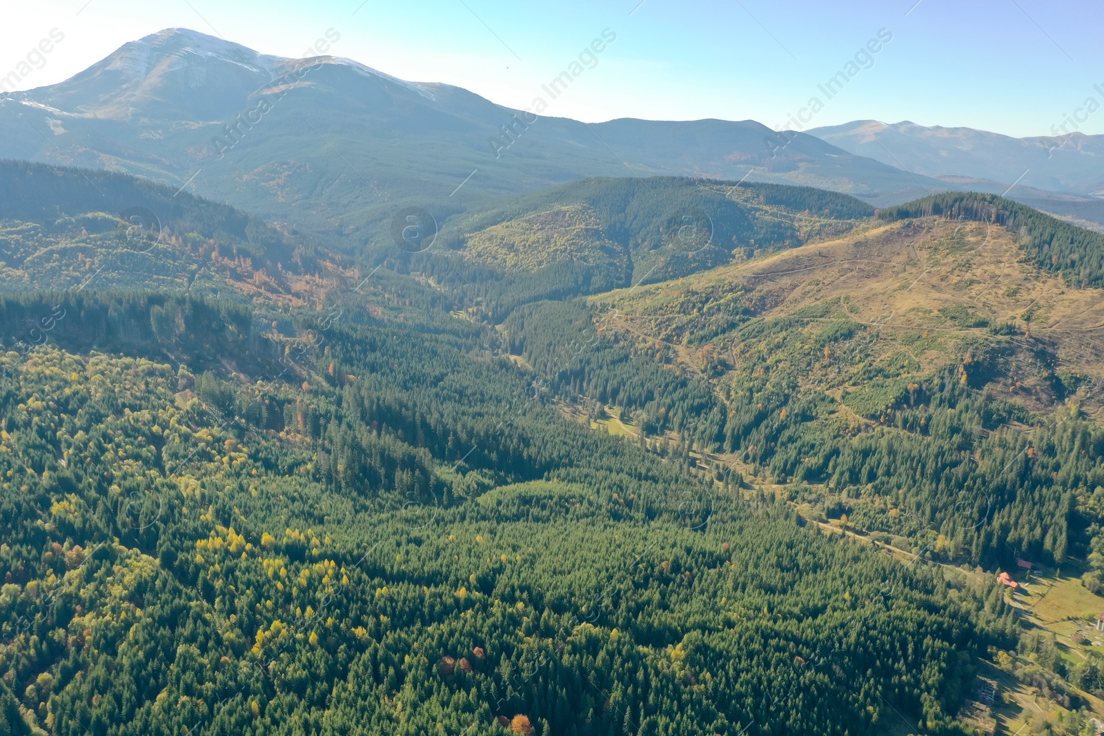 Photo of Beautiful mountains covered with forest on sunny day. Drone photography