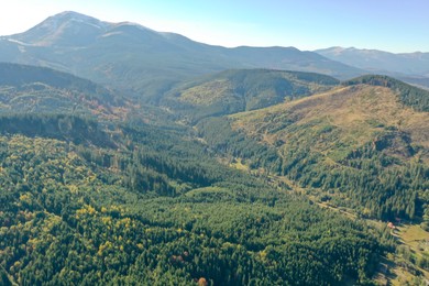 Photo of Beautiful mountains covered with forest on sunny day. Drone photography
