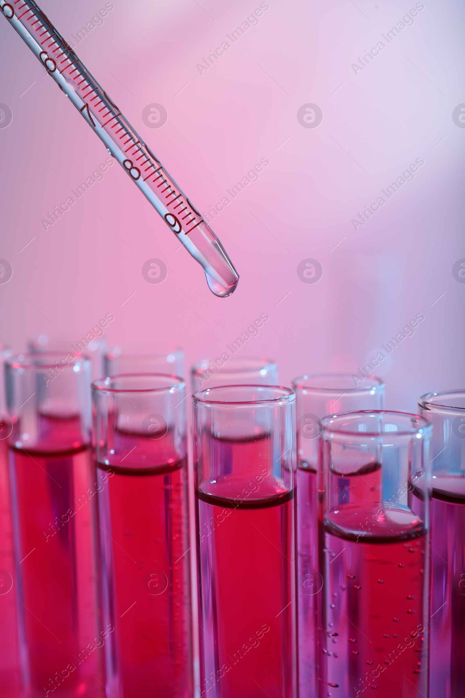 Photo of Dripping reagent into test tube with red liquid, closeup. Laboratory analysis